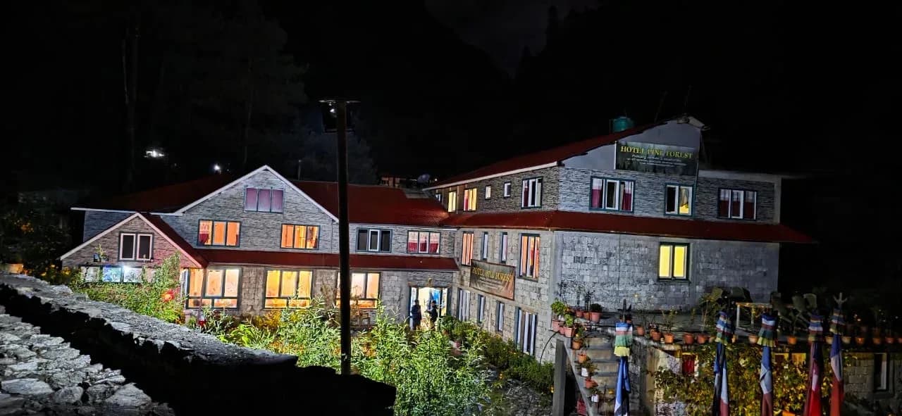 Hotel Pine Forest