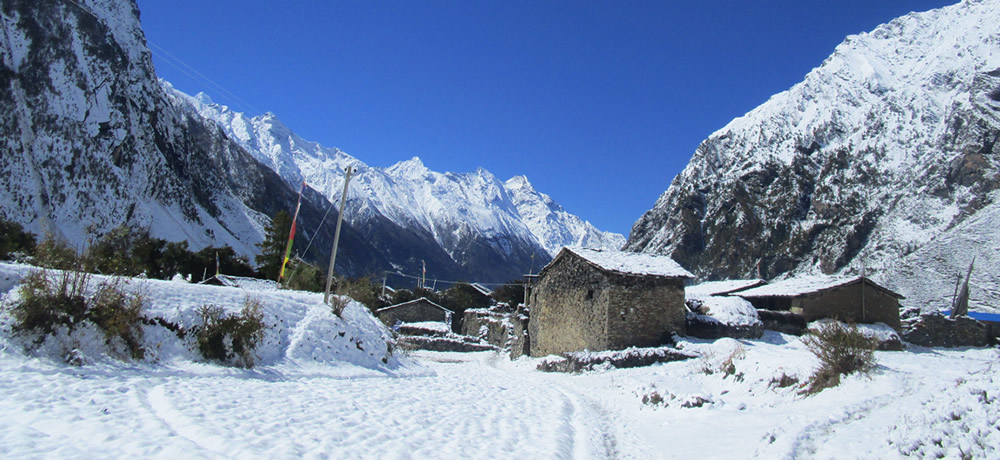 manaslu trek