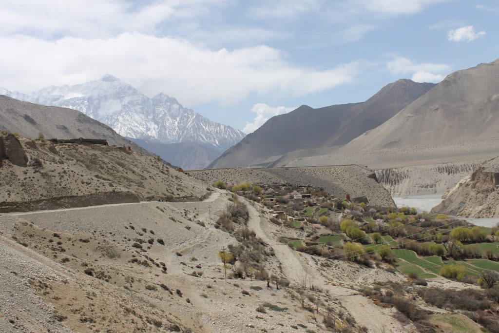 upper mustang