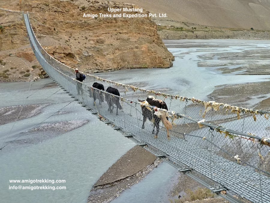 Suspension bridge in the Upper Mustang Region
