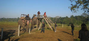 Elephant safari spot in Chitwan