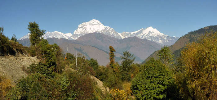 Dhaulagiri range from Poon Hill